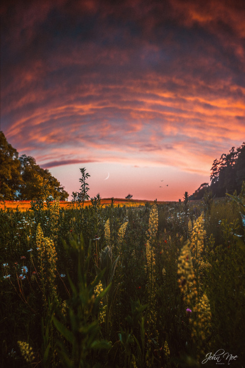 john-noe: Welcome to My Fantasy World By John Noe