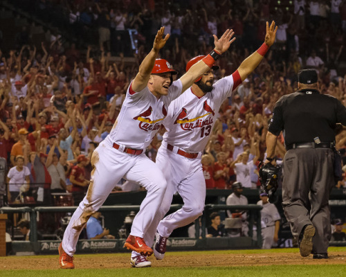 stlcardinals: IT’S A WALKOFF! 