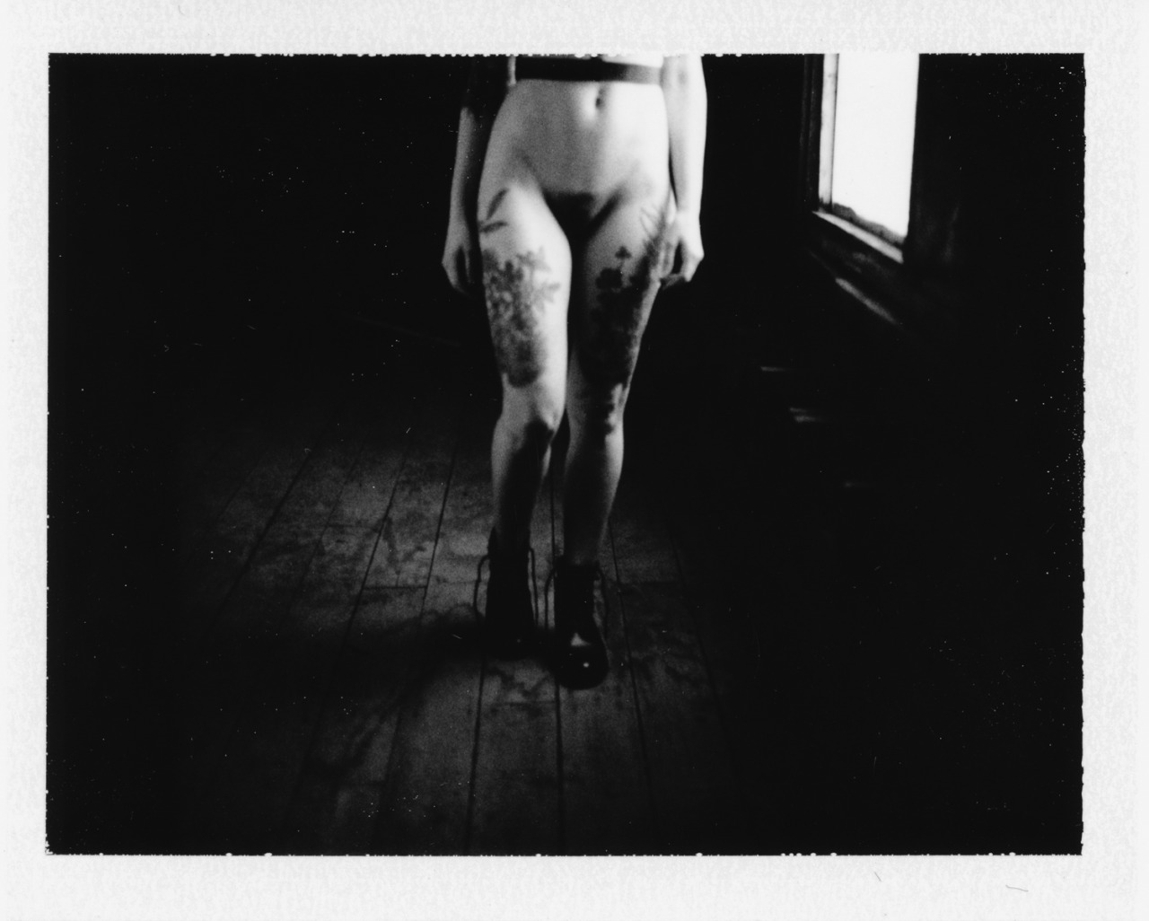 alveoliphotography:  December, 2015. Finch Linden X Alveoli Photography Buy these