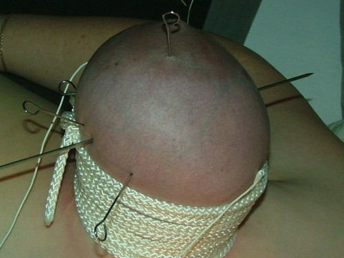 heavydutycuntsandtits: masoextreme:  mr-filthy-torture: Tieten martelen… Hmmmmmmmm ;)   L