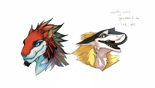 Different headshot commishes