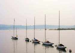 boatporn:  marvelousvessel:  Sailing boats (by museum_geek)  Errrrmmmm dragons I think? And a lovely little ketch too.