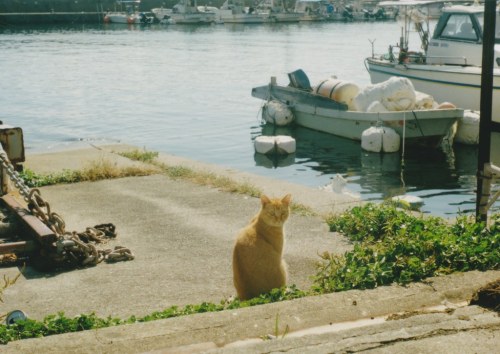 静かである。　音のない写真。