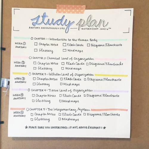 studyallure: My study plan for an upcoming midterm on anatomy and physiology. Lots to do but it can 