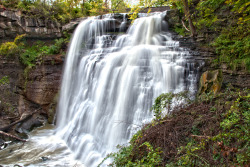 americasgreatoutdoors:  Though a short distance from the urban areas of Cleveland and Akron, Cuyahoga Valley National Park seems worlds away. The park is a refuge for native plants and wildlife, and provides routes of discovery for visitors. The winding