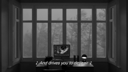 sesiondemadrugada:  24 Frames (Abbas Kiarostami, 2017).