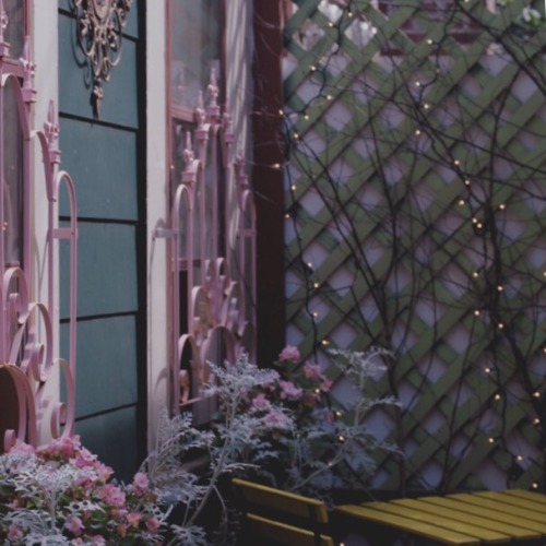 fromdusktildarko:The cutest cafe in the world