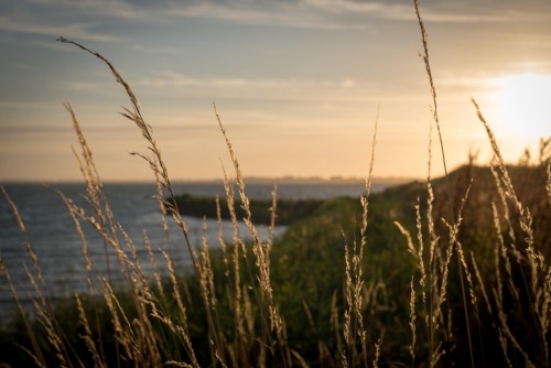 paradoxdesign: To lie here, just to lie here Listening to the wind Tell tales from the other side Ca