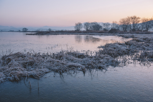 2013-12-22Instagram  |  hwantastic79vividUpo wetland, Republic of Korea Nikon D4 + AF-S NIKKOR 24-70