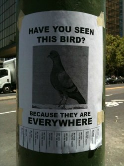 blazepress:  Hilarious ‘Lost Pet’ Signs