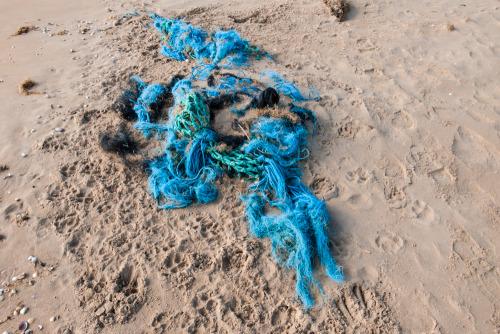 Beachcomber - weekly round up of my daily walks along the beach and findsGRD III | X100Blatant plug 