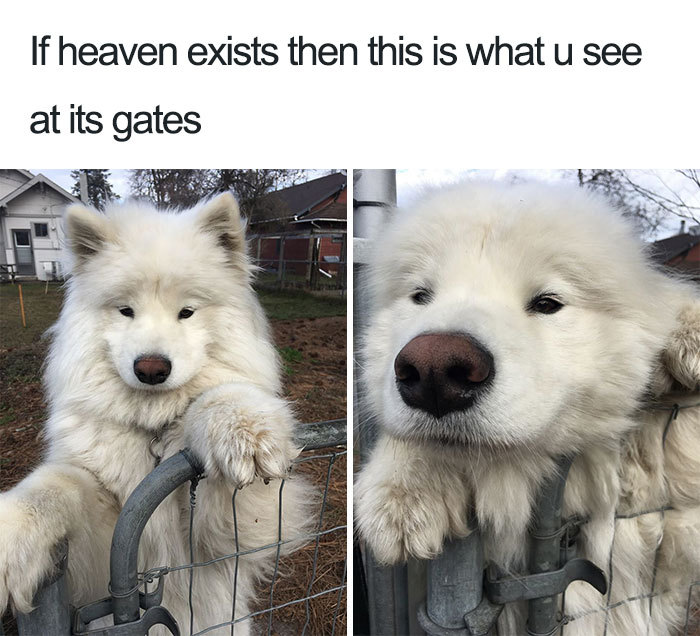 Gate cloud