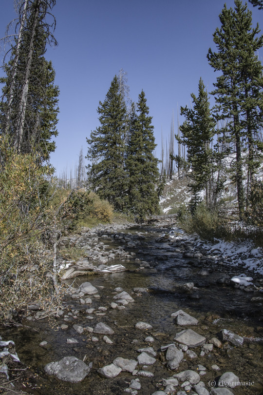 Fresh snow and autumn hues at Cub Creek: (c) riverwindphotography, September 2020