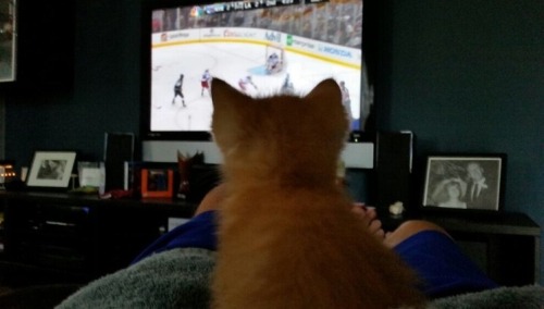 kittah is a @LAKings fan. #GoKingsGo(Via @chrisnanita)