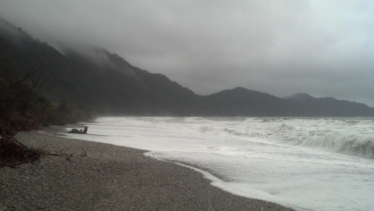 naive-moon:  dlscoveries:  photo by me ~ somewhere in New Zealand ~     