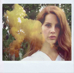 ldrexclusive:  Summertime Sadness 