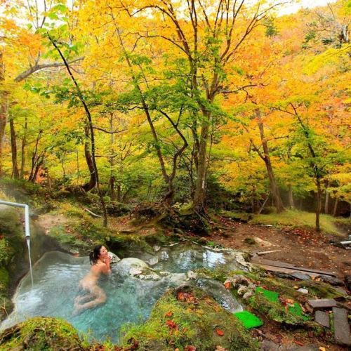 Porn Japanese onsen, via oguro.keita  北海道 photos