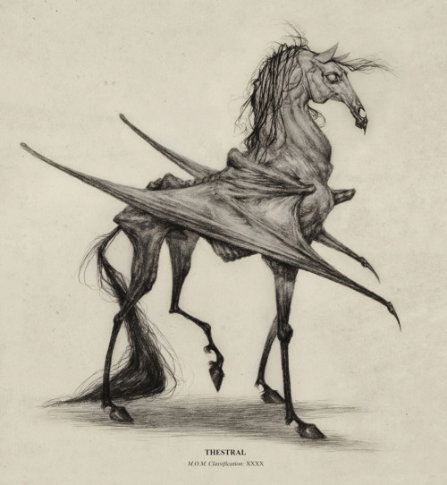 Thestral M.O.M. Classification XXXXThestrals are by far my favorite creatures from the Potter w