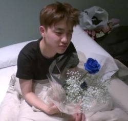 dyo-alone:  i need a moment cuz look at this