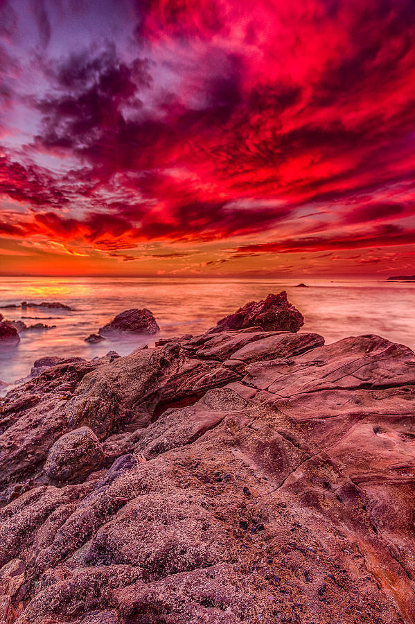 sublim-ature:  Laguna Beach, CaliforniaDave Muesbeck 
