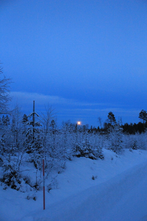 plantcosmos:christmas eve sunrise and sunset, 9:10am / 2:27pm