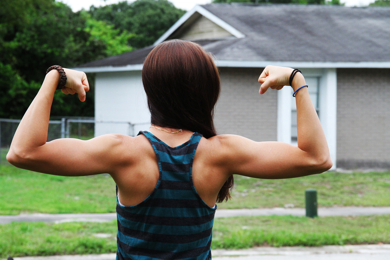 Seeking Shredded