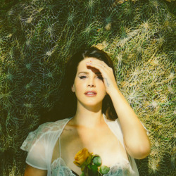 officialneilkrug:  Lana Del Rey “Honeymoon”Photograph by Neil Krughttp://instagram.com/neilkrug