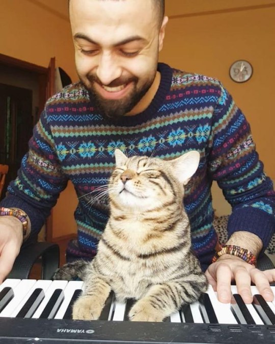 XXX vrabia:  TIL that sarper duman, aka the piano photo