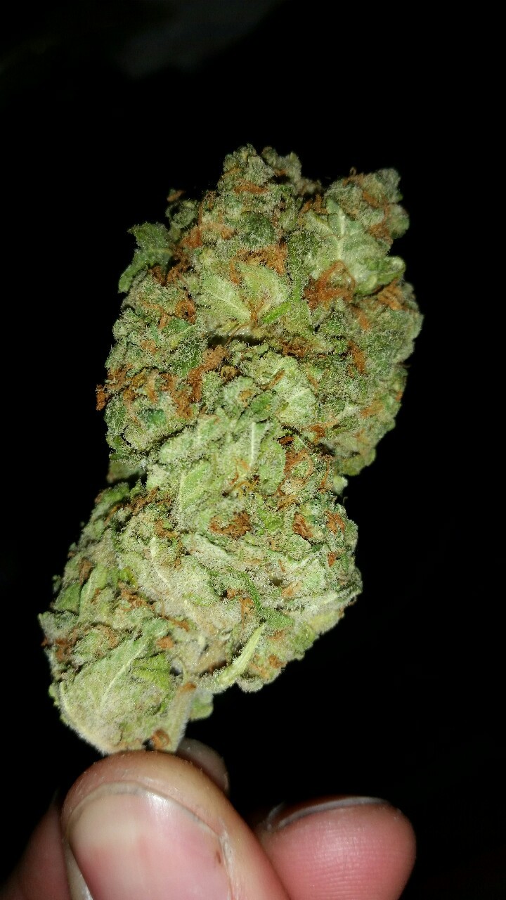 kick-push-twist-kush:  This is some serious fire