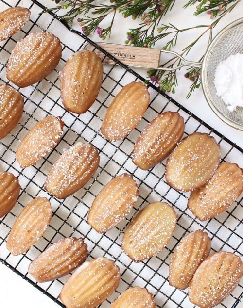 fullcravings:Chai Tea Spice Madeleines