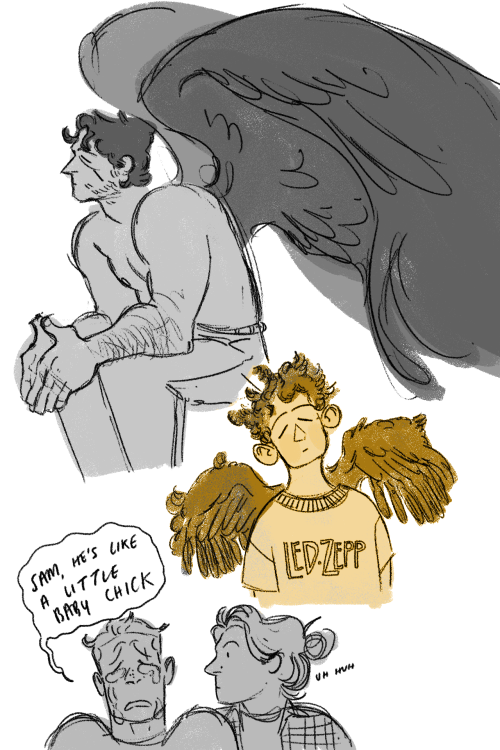 skepticalfrog:idk. just thinking about him i guess (baby bird castiel)