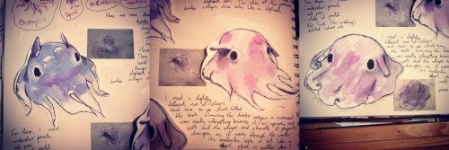 i always find a way to sneak cephalopods into something and official gcse coursework is no exception