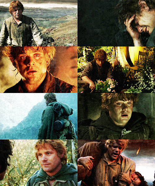  The Lord of the Rings &amp; Sam   ⇢  requested by katoakenshield  You’ve