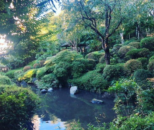 ＼おにわさん更新情報／ ‪[ 東京都板橋区 ] 薬師の泉庭園 Yakushi-no-izumi Garden Park, Itabashi-ku, Tokyo の写真・記事を更新しました。 ーー江戸幕