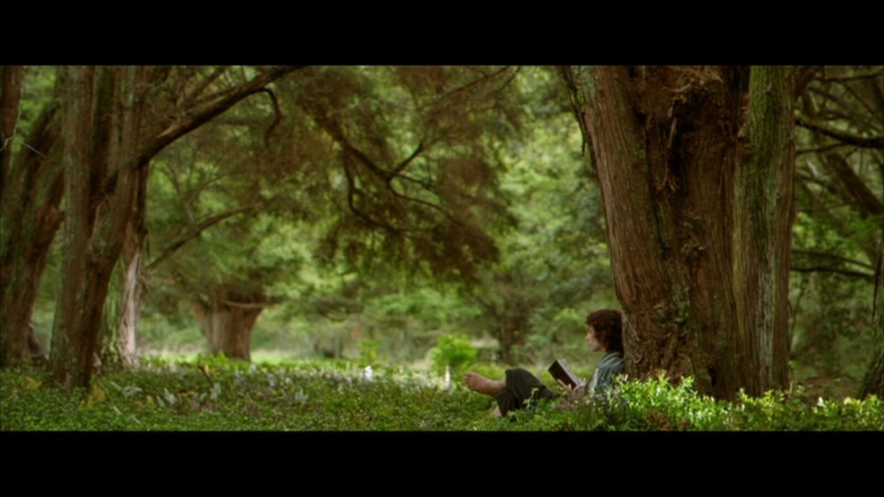 Imagine living with Frodo and Bilbo enjoying the peace and quiet of the shire. That is until gandalf shows up