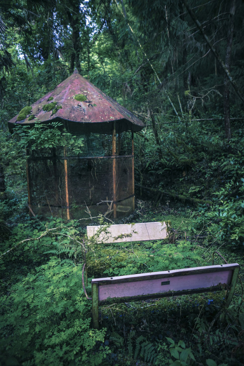 thefrogsapothecary: gitsandshiggles: elugraphy: Abandoned  playground in forest 02. @andreakont