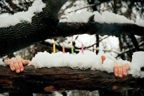 wintertiming: untitled by Meredith//McDonald on Flickr.