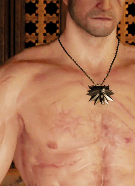 THE WITCHER 3: Wild Hunt (2015) Geralts Scars