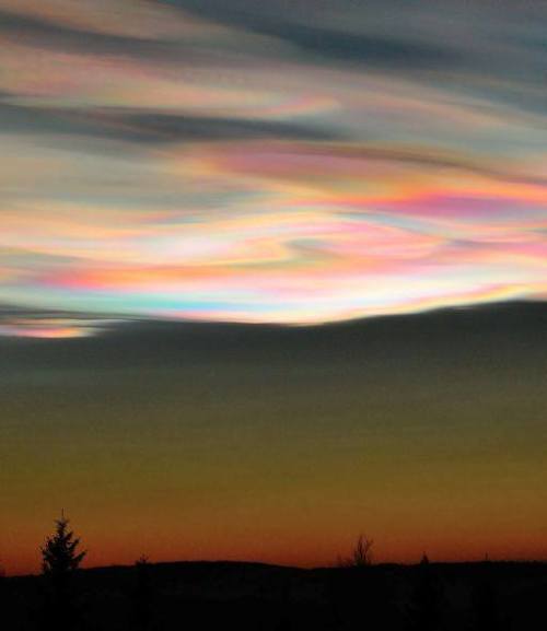 Polar stratospheric cloudsFormed at icy temperatures (-85 C) high up in the stratosphere (some 25km 