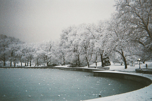 Porn photo uncoverinq:  central park (by Ralph Hockens)