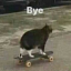 stickycloudtiger