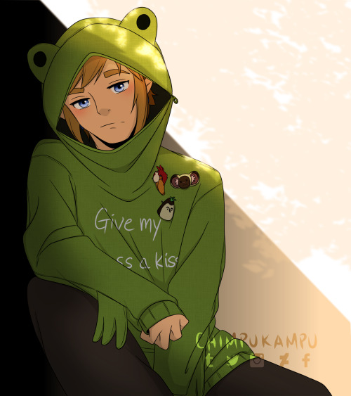 We had a frog hoodie art collab in Zelink Discord server where we choose which Links should wear it 