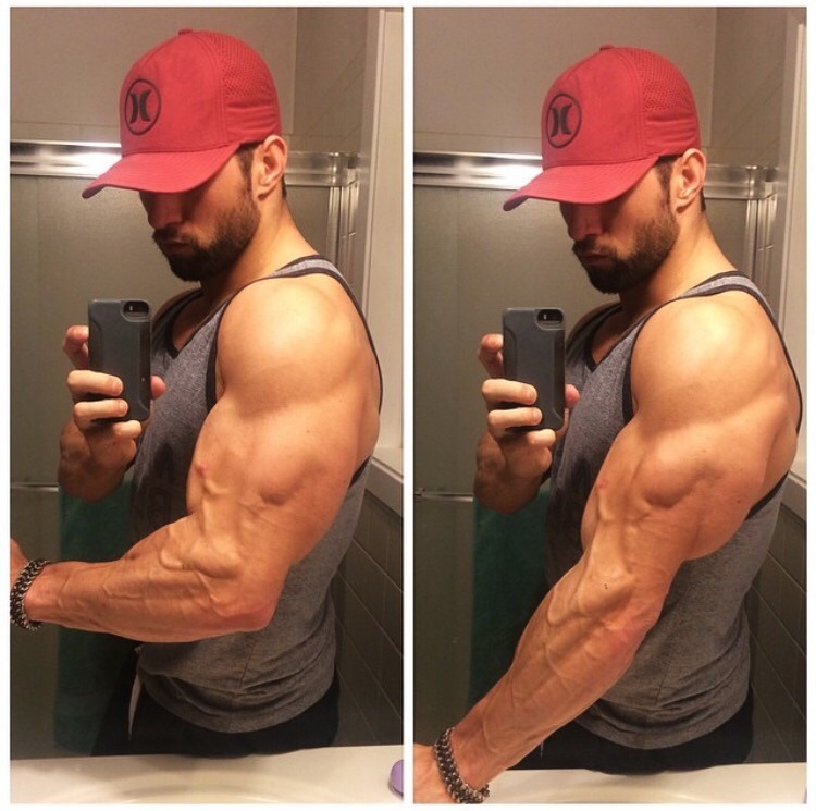 Adonis Files