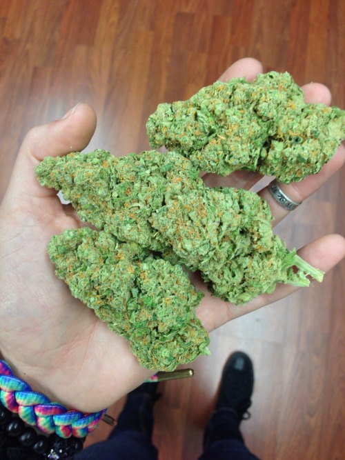 teelloo:  Green crack The middle nug weighs 9.6 grams!  Ñ