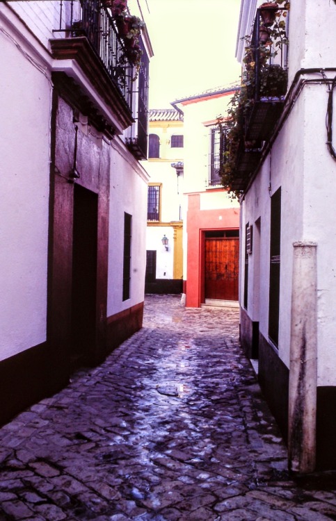 Callejon, Córdoba, 1983.