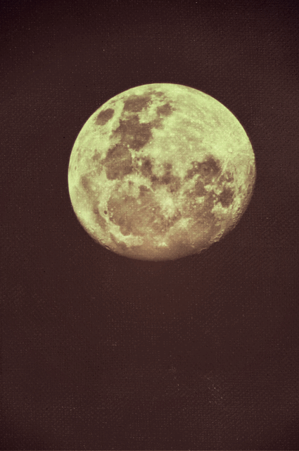 finalsideofthewall:  Everything under the sun is in tune, but the sun is eclipsed by the moon