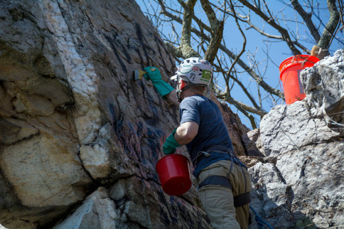 Preserving Natural Treasures: Removing Graffiti from Wolf Rock Catoctin Mountain Park, MarylandThe a