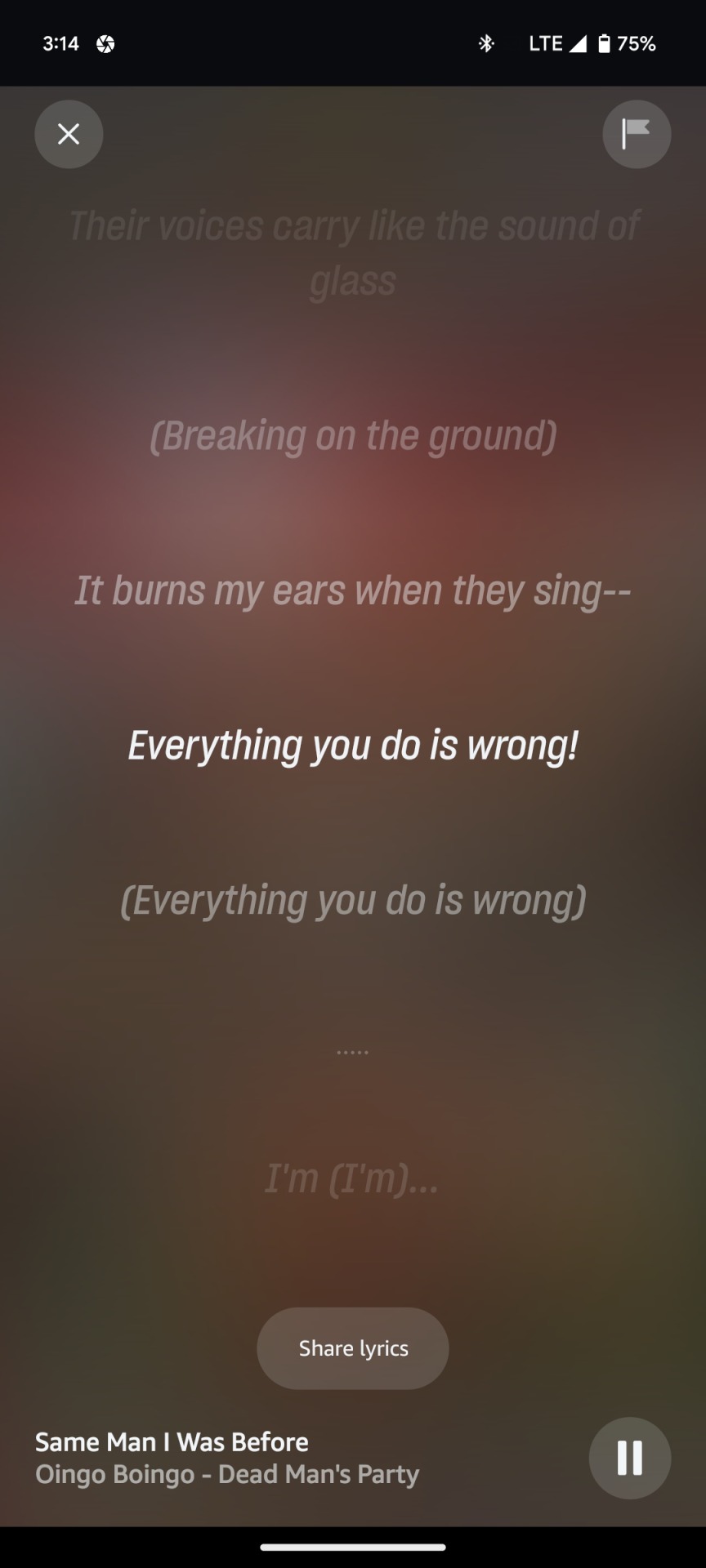 Chose The Wrong Song To Write An Essay To