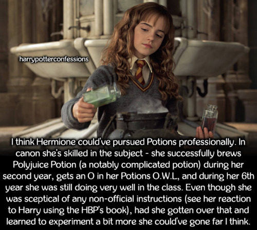 I think Hermione could’ve pursued Potions professionally. In canon she’s skilled in the 