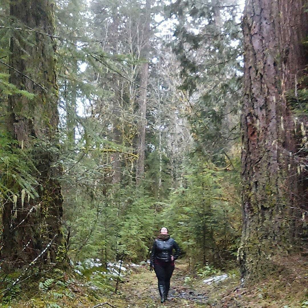 As crazy as it sounds&hellip; no one really knows how much old growth is left